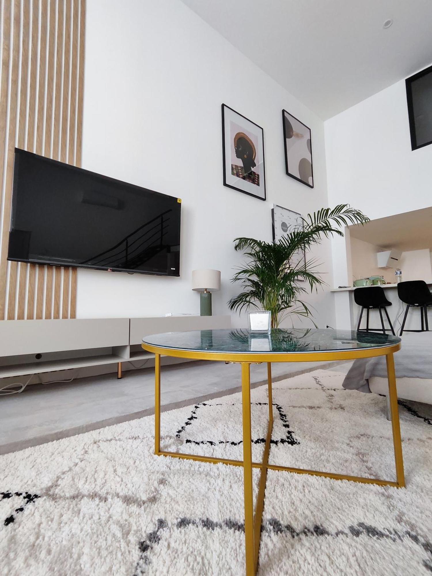 Beautiful Apartments & Loft In Beziers Center Kültér fotó